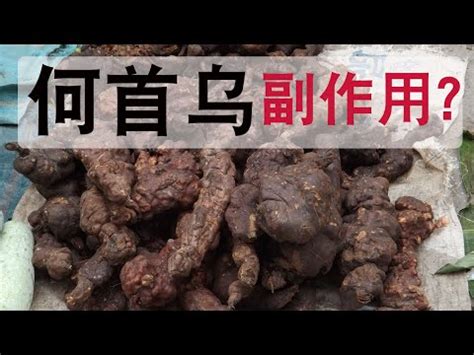 何首烏 什麼人不能吃|找回黑髮、防癌抗發炎！超級食材何首烏，5種人少吃